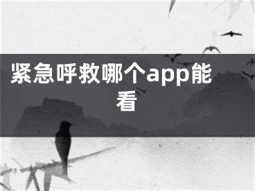 紧急呼救哪个app能看