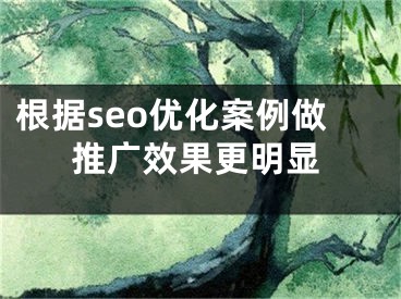 根据seo优化案例做推广效果更明显