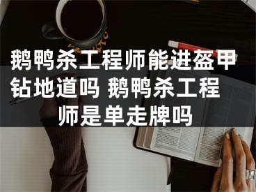 鹅鸭杀工程师能进盔甲钻地道吗 鹅鸭杀工程师是单走牌吗