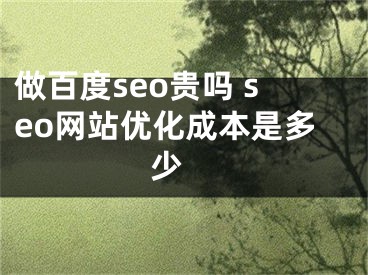 做百度seo贵吗 seo网站优化成本是多少 