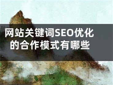 网站关键词SEO优化的合作模式有哪些 