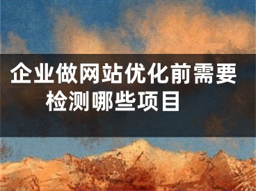 企业做网站优化前需要检测哪些项目 