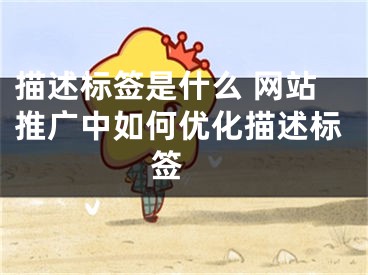 描述标签是什么 网站推广中如何优化描述标签 