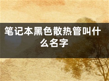 笔记本黑色散热管叫什么名字