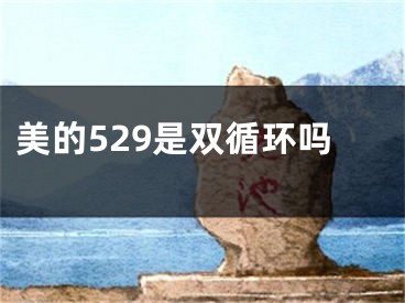 美的529是双循环吗