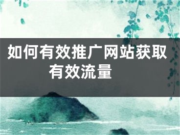 如何有效推广网站获取有效流量 