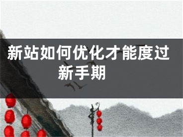 新站如何优化才能度过新手期 