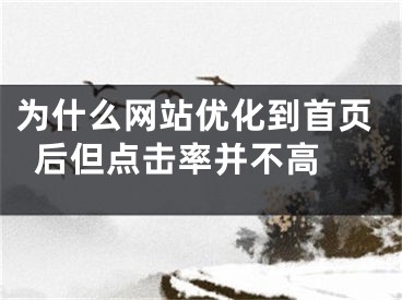 为什么网站优化到首页后但点击率并不高 