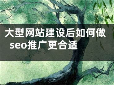 大型网站建设后如何做seo推广更合适 