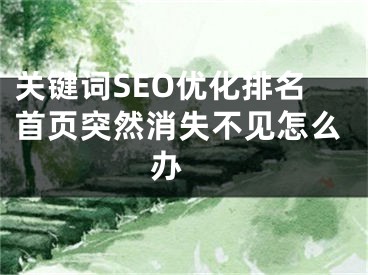 关键词SEO优化排名首页突然消失不见怎么办 