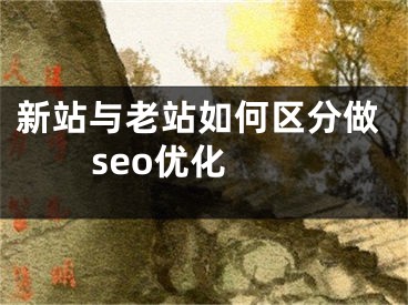 新站与老站如何区分做seo优化  