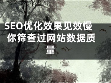 SEO优化效果见效慢 你筛查过网站数据质量 