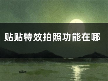 贴贴特效拍照功能在哪