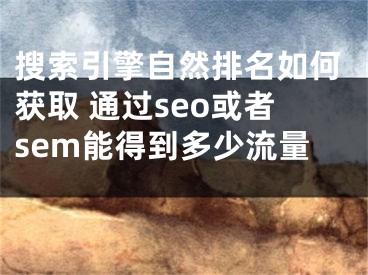搜索引擎自然排名如何获取 通过seo或者sem能得到多少流量 