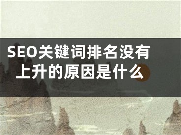 SEO关键词排名没有上升的原因是什么 