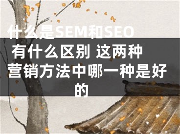 什么是SEM和SEO 有什么区别 这两种营销方法中哪一种是好的 