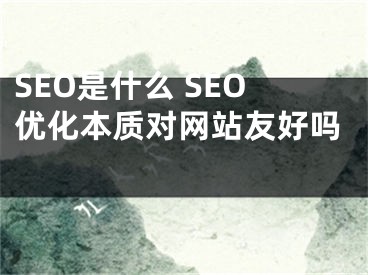 SEO是什么 SEO优化本质对网站友好吗 