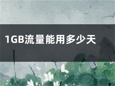 1GB流量能用多少天