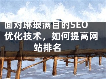 面对琳琅满目的SEO优化技术，如何提高网站排名 