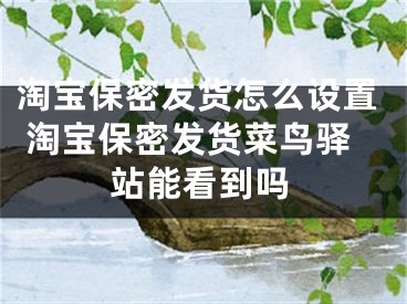 淘宝保密发货怎么设置 淘宝保密发货菜鸟驿站能看到吗