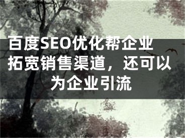 百度SEO优化帮企业拓宽销售渠道，还可以为企业引流