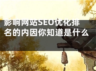 影响网站SEO优化排名的内因你知道是什么 