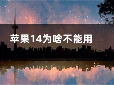 苹果14为啥不能用