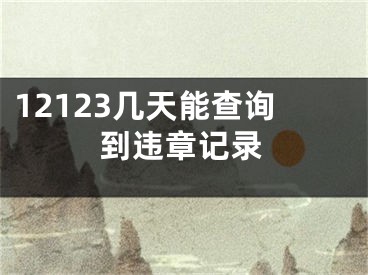 12123几天能查询到违章记录