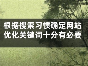 根据搜索习惯确定网站优化关键词十分有必要