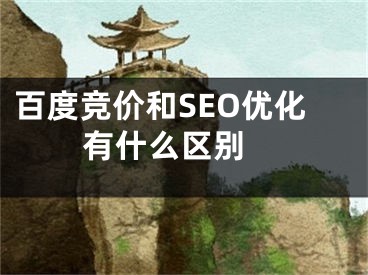 百度竞价和SEO优化有什么区别 