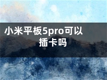 小米平板5pro可以插卡吗