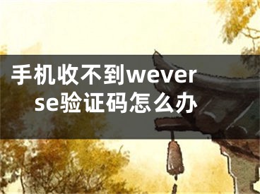 手机收不到weverse验证码怎么办