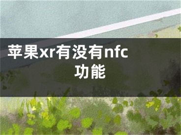 苹果xr有没有nfc功能