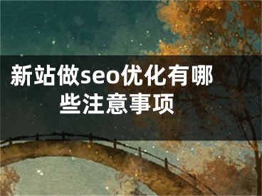新站做seo优化有哪些注意事项 