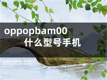 oppopbam00什么型号手机