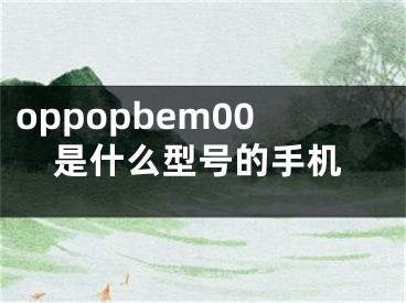 oppopbem00是什么型号的手机