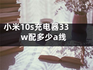 小米10s充电器33w配多少a线