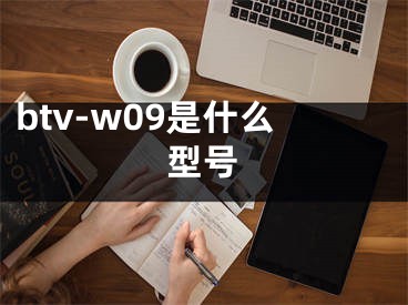 btv-w09是什么型号