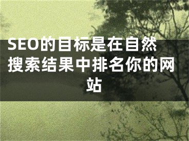 SEO的目标是在自然搜索结果中排名你的网站