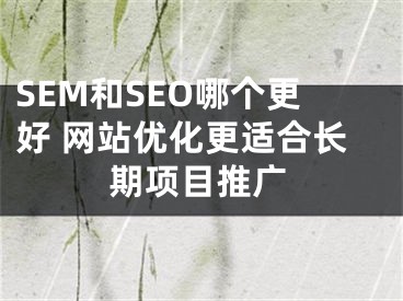 SEM和SEO哪个更好 网站优化更适合长期项目推广