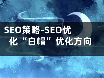 SEO策略-SEO优化“白帽”优化方向