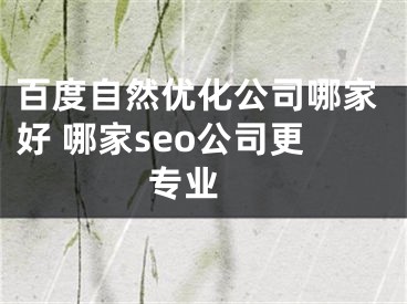 百度自然优化公司哪家好 哪家seo公司更专业 