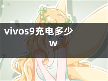 vivos9充电多少w