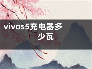 vivos5充电器多少瓦