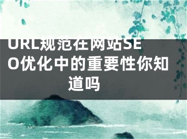 URL规范在网站SEO优化中的重要性你知道吗 