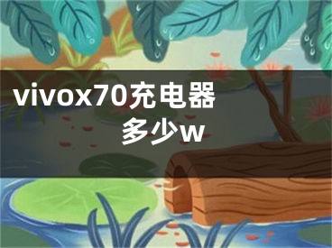 vivox70充电器多少w