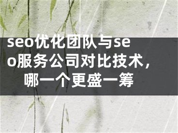 seo优化团队与seo服务公司对比技术，哪一个更盛一筹 