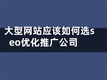 大型网站应该如何选seo优化推广公司 