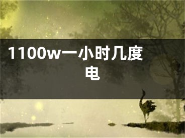 1100w一小时几度电