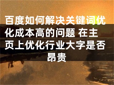 百度如何解决关键词优化成本高的问题 在主页上优化行业大字是否昂贵